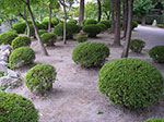 IMGP5861.jpg