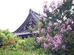 IMGP5870.jpg