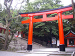 IMGP5884.jpg