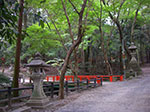 IMGP5885.jpg