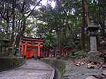 IMGP5886.jpg