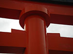 IMGP5905.jpg