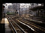IMGP5907.jpg