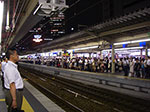 IMGP5920.jpg