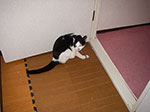 IMGP5925.jpg