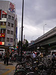 IMGP5975.jpg