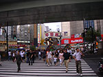 IMGP5977.jpg