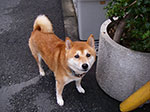 IMGP6022.jpg