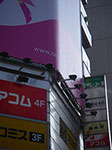 IMGP6070.jpg
