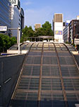 IMGP6072.jpg