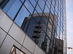 IMGP6091.jpg