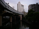 IMGP6093.jpg