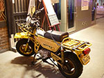 IMGP6165.jpg