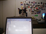 IMGP6174.jpg