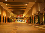 IMGP6201.jpg