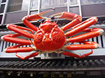 0021-IMGP6241.jpg