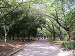 0024-IMGP6244.jpg
