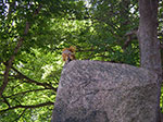 0026-IMGP6246.jpg