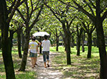 0028-IMGP6248.jpg