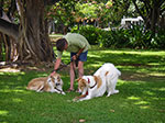 0068-IMGP6319.jpg