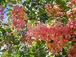 0070-IMGP6321.jpg