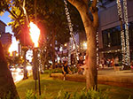 0085-IMGP6336.jpg