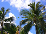 IMGP6358.jpg