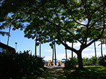 IMGP6372.jpg