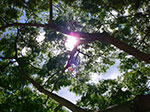 IMGP6374.jpg
