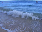 IMGP6375.jpg