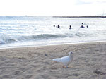 IMGP6380.jpg