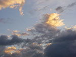 IMGP6382.jpg
