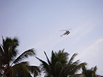 IMGP6388.jpg