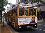 IMGP6464.jpg