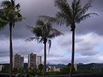 IMGP6466.jpg