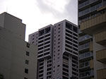 IMGP6469.jpg