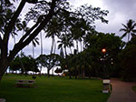 IMGP6487.jpg