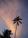 IMGP6614.jpg