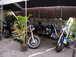 IMGP6632.jpg
