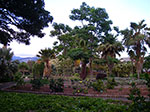 IMGP6671.jpg