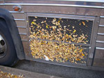 IMGP6672.jpg