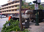IMGP6692.jpg