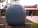 IMGP6696.jpg