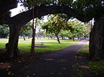 IMGP6705.jpg