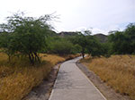 IMGP6713.jpg