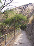 IMGP6715.jpg