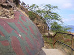 IMGP6798.jpg