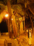 IMGP6847.jpg