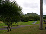IMGP6967.jpg