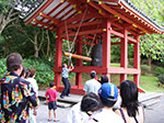 IMGP6976.jpg